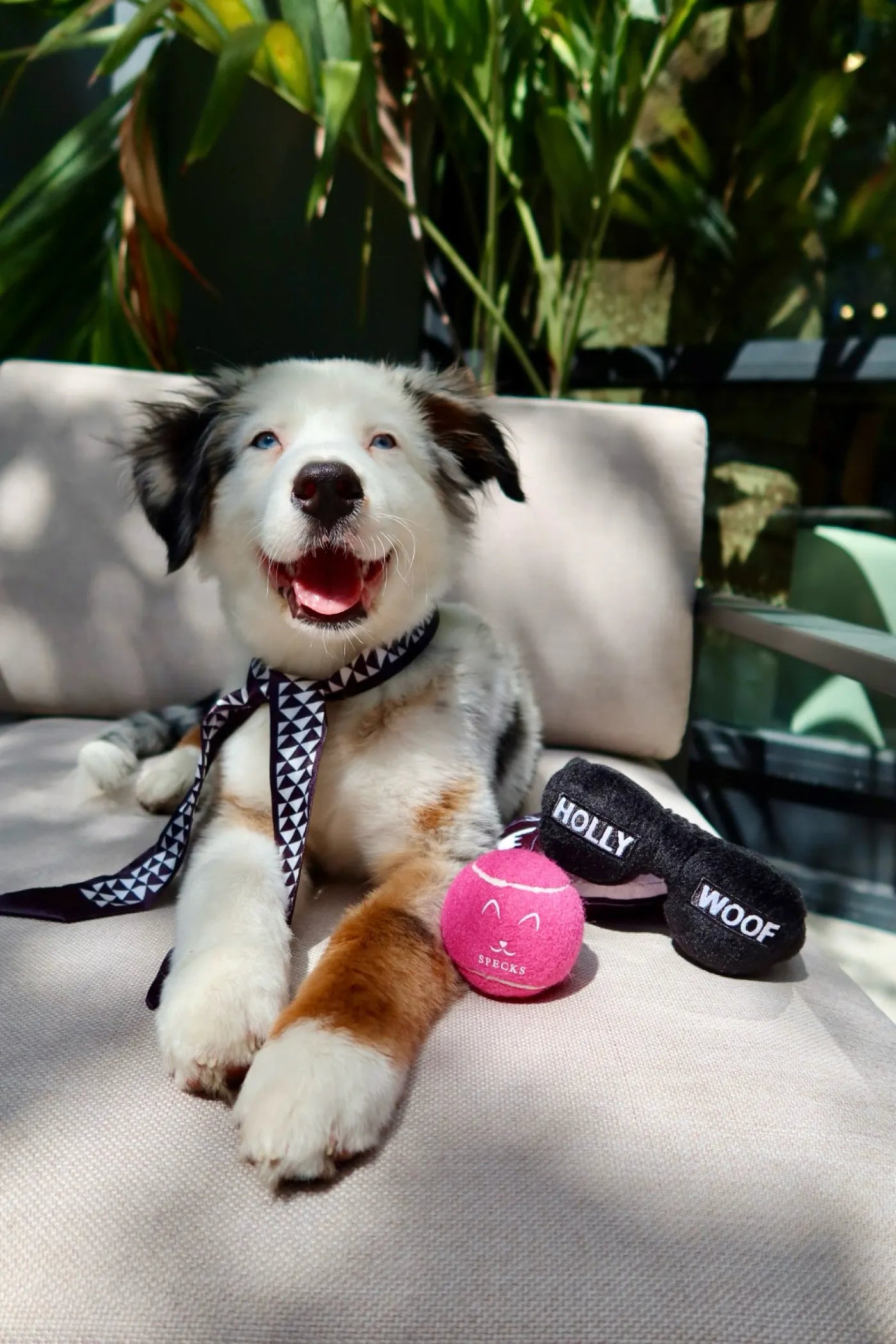 Specks Dog Tennis Ball