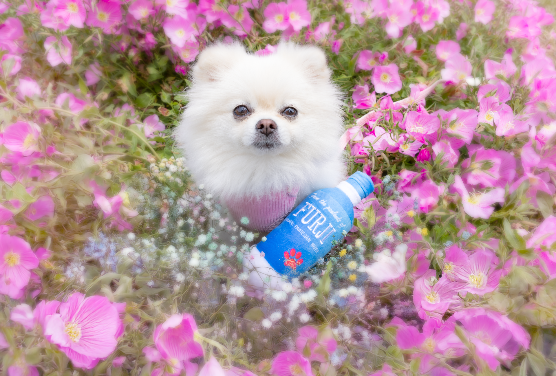 Pawlands Of Furji Dog Toy