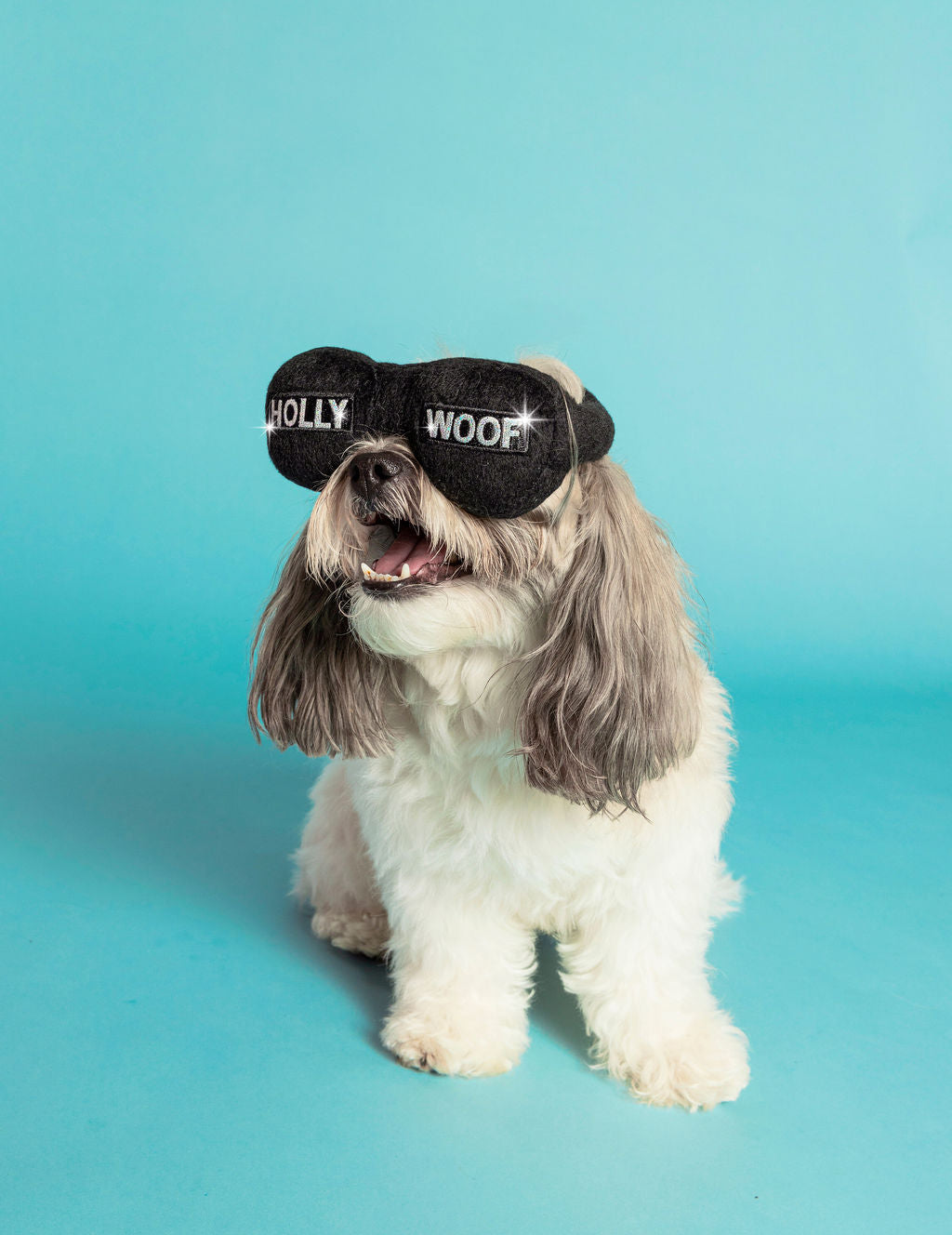 Hollywoof Sunglasses Dog Toy