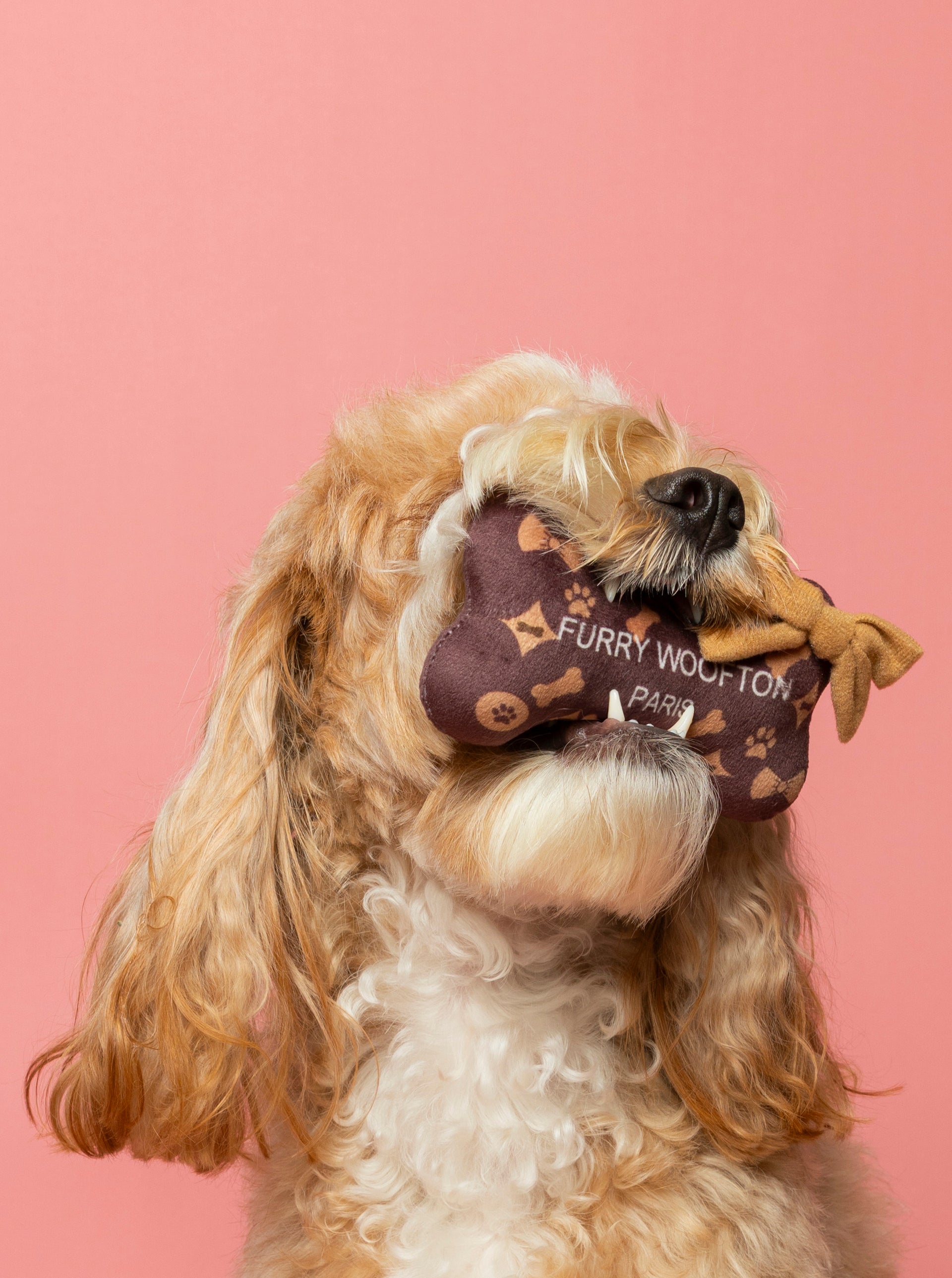 Furry Woofton Dog Toy