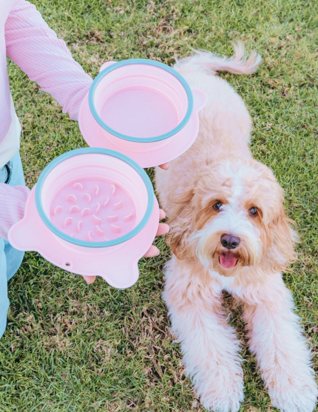 Snack & Go Portable Slow Feeder & Water Bowl