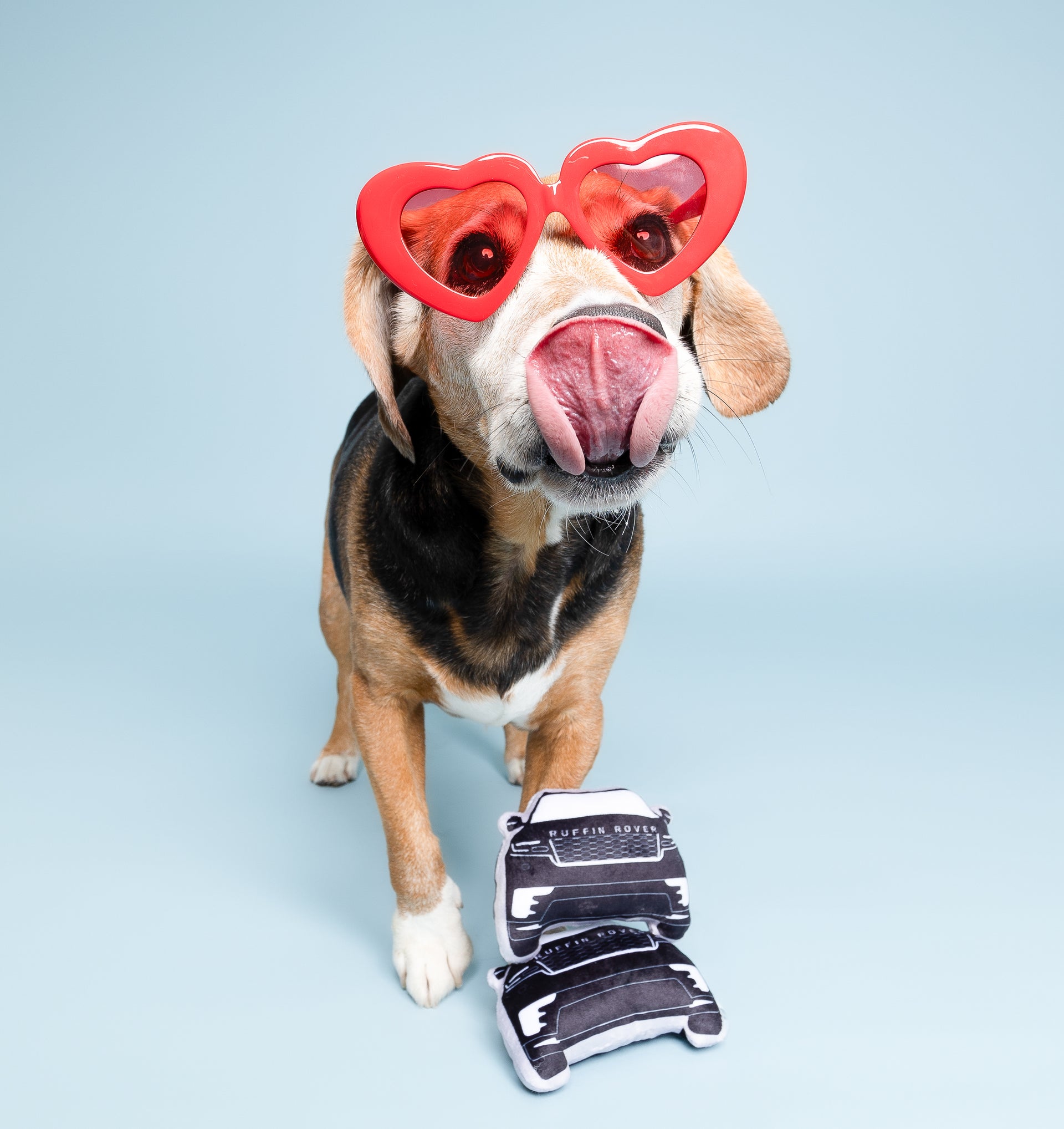 Ruffin Rover Dog Toy